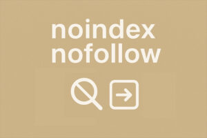 noindex-nofollow